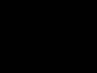 pgd-335