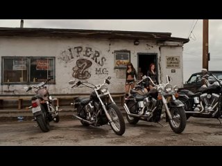 pig vs craze mp4